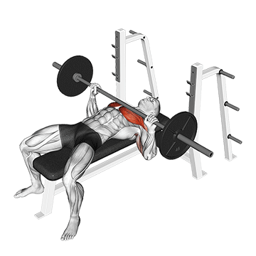Incline Dumbbell Press