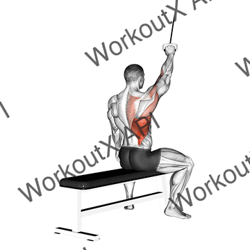 Alternate Lateral Pulldown animated GIF