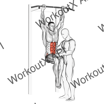 Assisted Hanging Knee Raise With Throw Down animated GIF