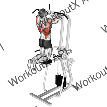 Assisted Parallel Close Grip Pull-up animated GIF