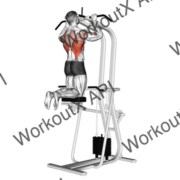 Assisted Pull-up animated GIF