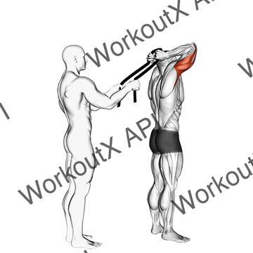 Assisted Standing Triceps Extension (with Towel) animated GIF