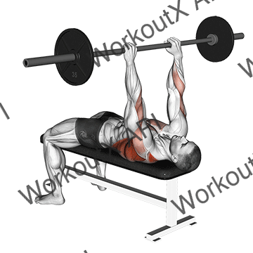 Barbell Pullover To Press animated GIF