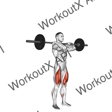 Barbell Clean-grip Front Squat animated GIF