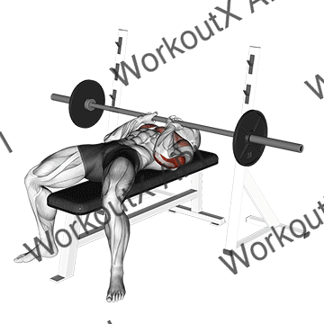 Barbell Close-grip Bench Press animated GIF