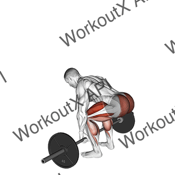 Barbell Deadlift animated GIF