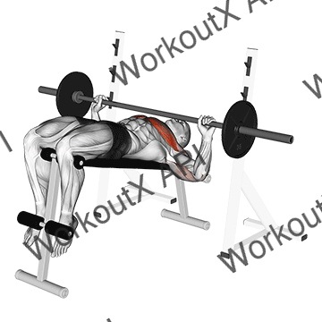 Barbell Decline Wide-grip Press animated GIF