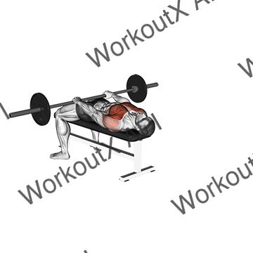 Barbell Front Raise And Pullover animated GIF