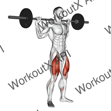 Barbell Full Squat animated GIF
