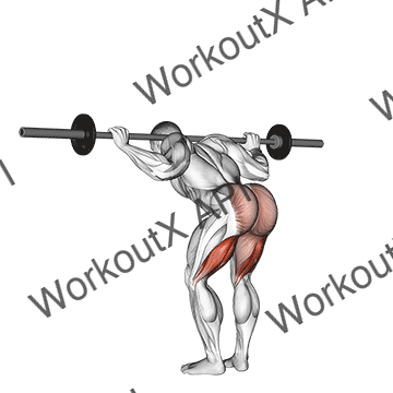 Barbell Good Morning animated GIF