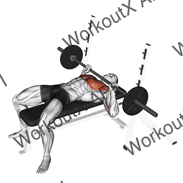 Barbell Guillotine Bench Press animated GIF