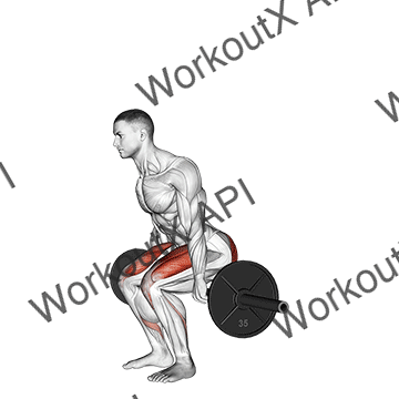 Barbell Hack Squat animated GIF