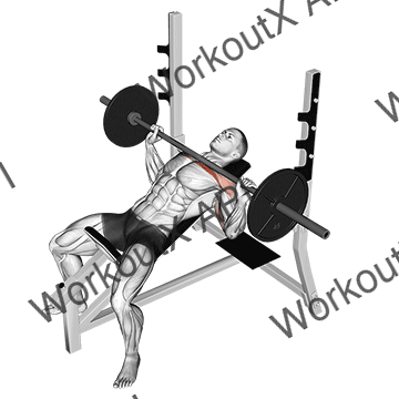 Barbell Incline Bench Press animated GIF