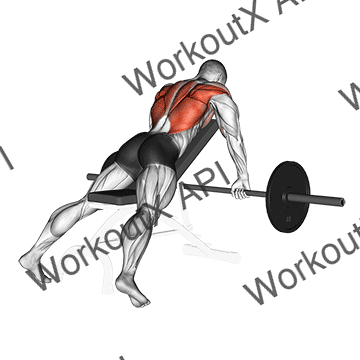 Barbell Incline Row animated GIF