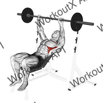 Barbell Incline Shoulder Raise animated GIF