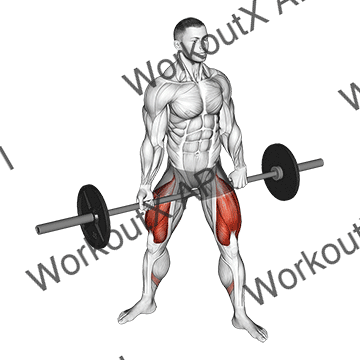 Barbell Jefferson Squat animated GIF