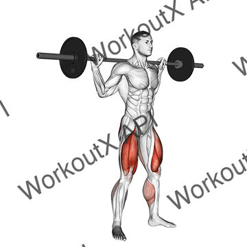 Barbell Jump Squat animated GIF
