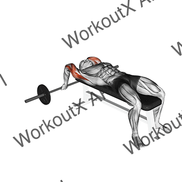 Barbell Lying Close-grip Triceps Extension animated GIF
