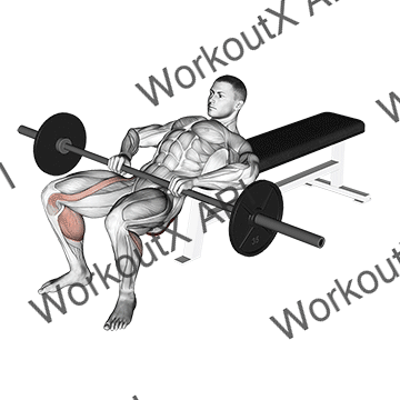 Barbell Lying Lifting (on Hip) animated GIF