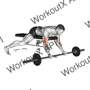 Barbell Lying Preacher Curl animated GIF