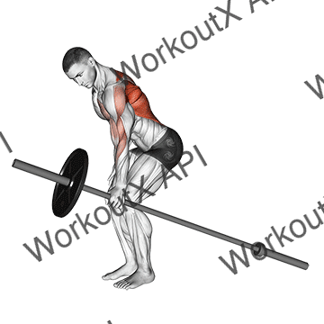 Barbell One Arm Bent Over Row animated GIF