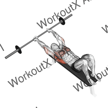 Barbell Pullover animated GIF