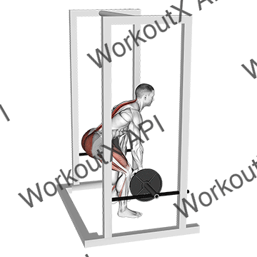 Barbell Rack Pull animated GIF