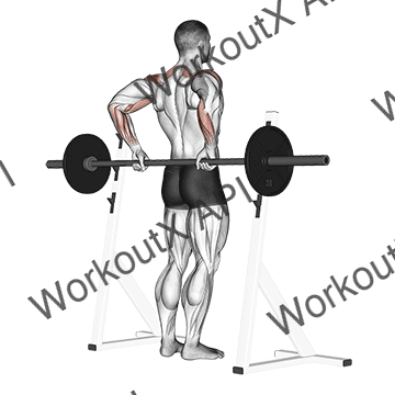 Barbell Rear Delt Raise animated GIF