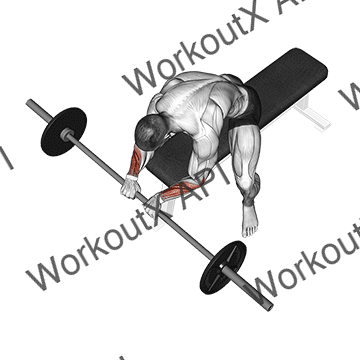 Barbell Reverse Wrist Curl animated GIF