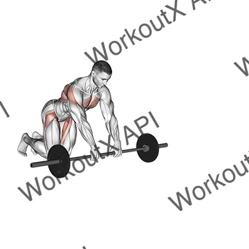 Barbell Rollerout animated GIF