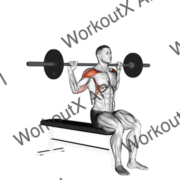 Barbell Seated Behind Head Military Press animated GIF