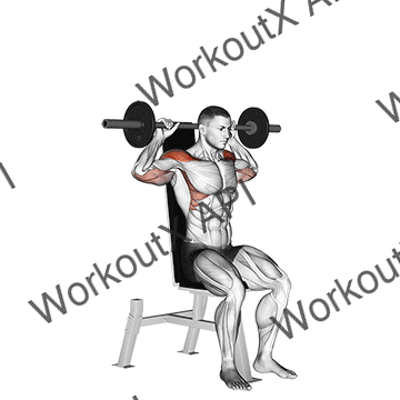 Barbell Seated Bradford Rocky Press animated GIF