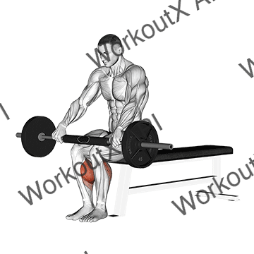 Barbell Seated Calf Raise animated GIF
