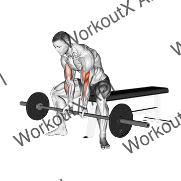 Barbell Seated Close-grip Concentration Curl animated GIF