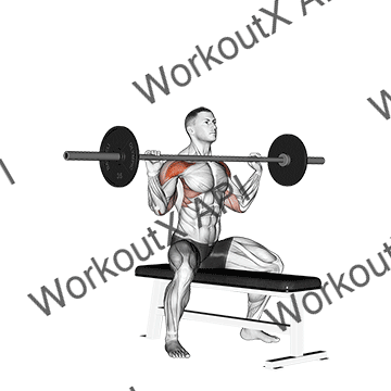 Barbell Seated Overhead Press animated GIF