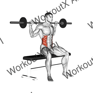 Barbell Seated Twist animated GIF