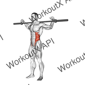 Barbell Side Bent V. 2 animated GIF