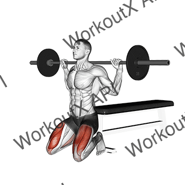 Barbell Squat (on Knees) animated GIF