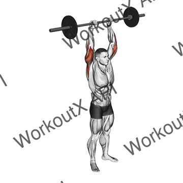 Barbell Standing Overhead Triceps Extension animated GIF