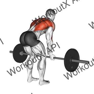 Barbell Reverse Grip Bent Over Row animated GIF