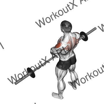 Barbell Upright Row V. 2 animated GIF