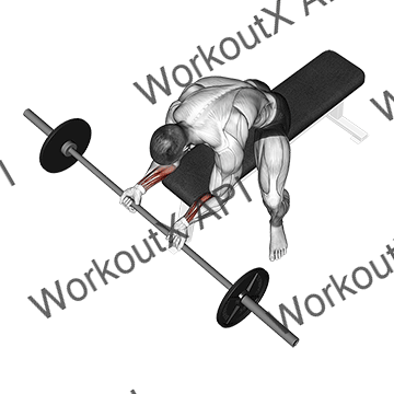 Barbell Wrist Curl animated GIF
