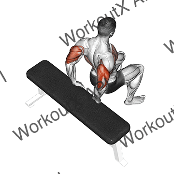 Bench Dip (knees Bent) animated GIF