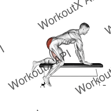 Bench Hip Extension animated GIF