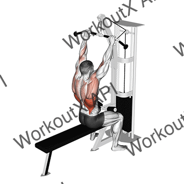 Cable Bar Lateral Pulldown animated GIF