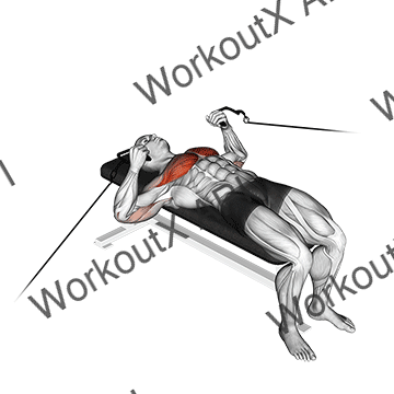 Cable Bench Press animated GIF