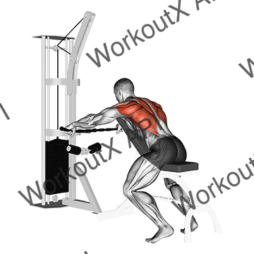Cable Decline Seated Wide-grip Row animated GIF