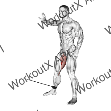 Cable Hip Adduction animated GIF