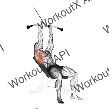 Cable Incline Pushdown animated GIF