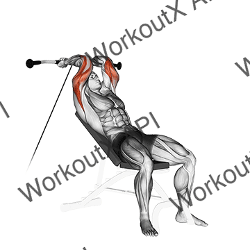 Cable Incline Triceps Extension animated GIF